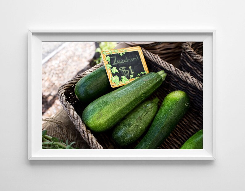 Green Kitchen Decor Zucchini Food Photography, Farmers Market Art, Food Art, Vegetable Art Small and Large Art Prints Available image 1