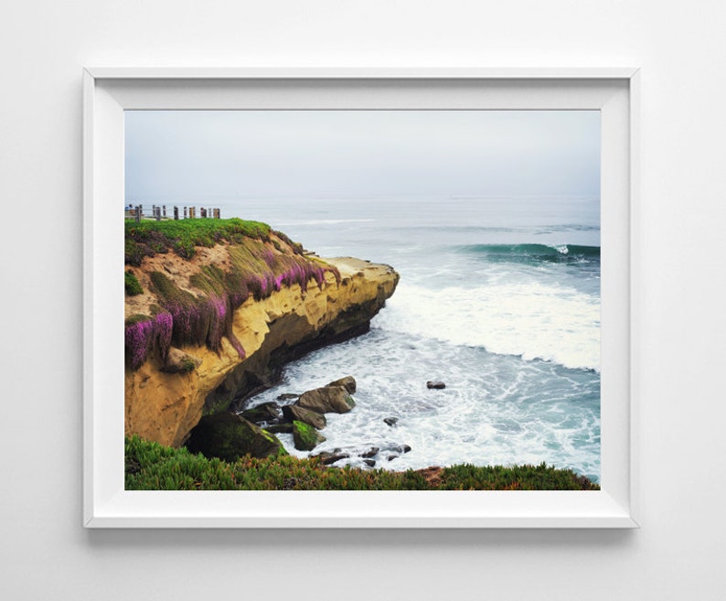 La Jolla Beach Decor San Diego California Beach Cliffs and Purple Flowers Pacific Ocean Fine Art Print Multiple Sizes Available image 1