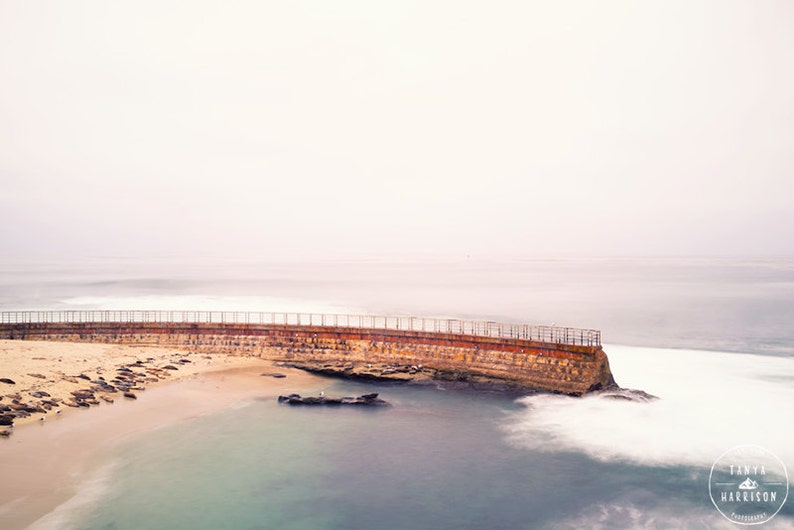 San Diego La Jolla Seawall and Seals Beach Decor, Ocean Decor