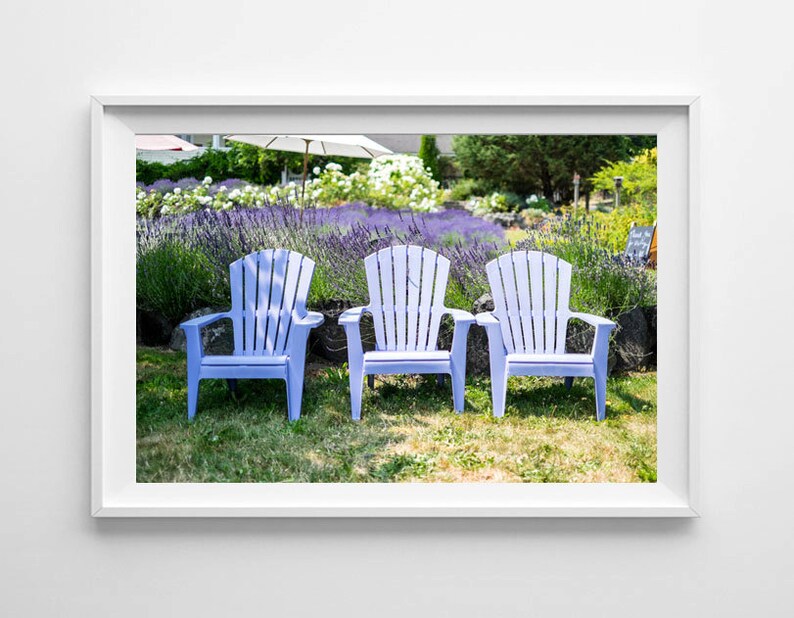 Lavender Art Vashon Island Purple Adirondack Chairs At Lavender Farm Garden Art Lavender Decor Small And Large Wall Art Prints Available