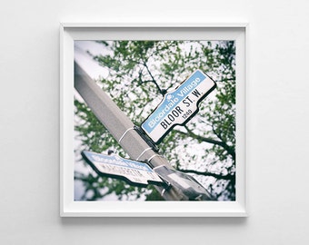 Toronto Art Bloor Street West Street Sign Photography - Urban Art, Street Photography - Multiple Sizes Available, Fits IKEA Ribba Frames