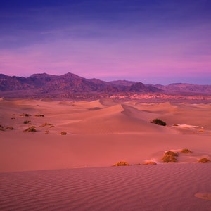 Décor de maison violet Impression paysage Décoration de maison rose, coucher de soleil sur les dunes de sable Parc national de la Vallée de la Mort Petits et grands tirages dart disponibles image 2