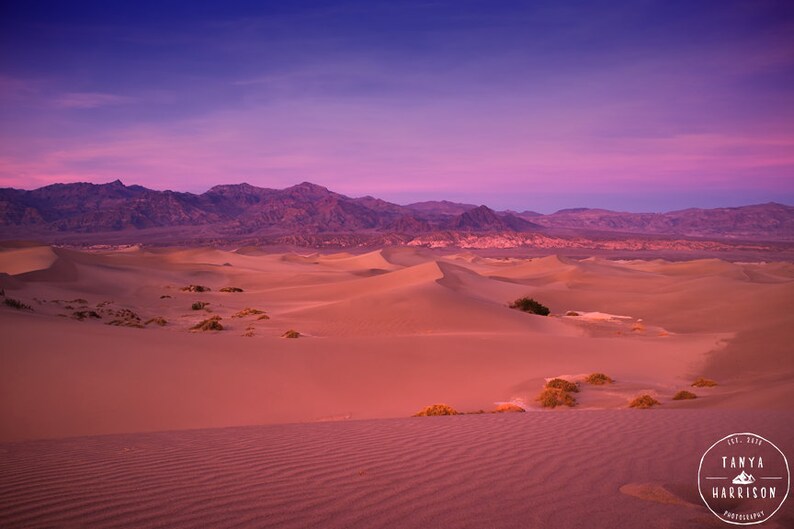 Décor de maison violet Impression paysage Décoration de maison rose, coucher de soleil sur les dunes de sable Parc national de la Vallée de la Mort Petits et grands tirages dart disponibles image 2