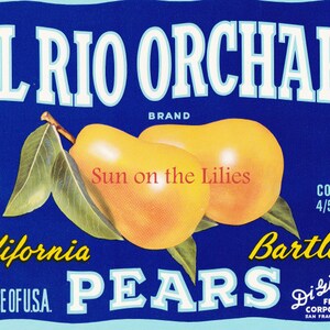 Digital Download ~ Vintage El Rio Fruit Crate Label