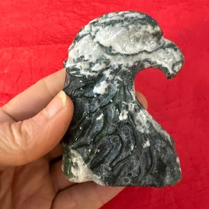 Puede incluir: Una escultura de cabeza de águila de piedra tallada. La escultura es principalmente de color verde oscuro con vetas blancas y grises. El pico del águila está ligeramente curvado y los detalles de las plumas son visibles. La escultura se sostiene sobre un fondo rojo.
