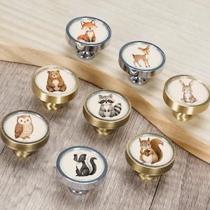 May include: A set of eight round cabinet knobs featuring illustrations of woodland animals including a fox, deer, bear, rabbit, owl, raccoon, skunk, and squirrel. The knobs have metallic finishes in silver and brass tones with white centres.