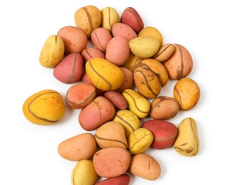 Obi Banja - 1 Pound / 1LB - Two-Lobed Kola Nut