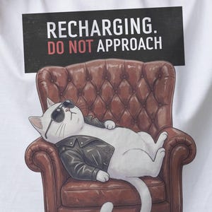 Auflade-T-Shirt „Katze nicht ansprechen“ | Lustiges Geschenk für Introvertierte | Antisoziales Katzen-T-Shirt | Sarkastisches Grafik-Shirt