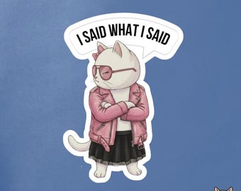 I Said What I Said Cat Sticker | Funny Girl Cat Sticker | Sarcastic Cat Sticker | Introvert Gift | Cat Lover Sticker
