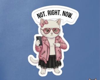 Not Right Now Cat Sticker | Funny Girl Cat Sticker | Sarcastic Cat Sticker | Introvert Gift | Cat Lover