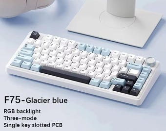 Mechanical Keyboard 75 Layout, Wired 2.4G Bluetooth RGB Backlit, Gasket Mount Design, PBT Keycaps, Custom Gaming Keyboard with Artisan Keys