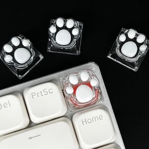May include: Clear paw-shaped keycaps with white paw prints, some are placed on a white keyboard. One keycap has a red base. The keyboard keys are white with gray text. The background is black.