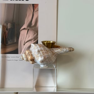 Vintage snäckskal ljusstake med mässingsinsats på akrylbas, kustdekorativ konisk pinnehållare, nautisk snäckskal bordsdekoration