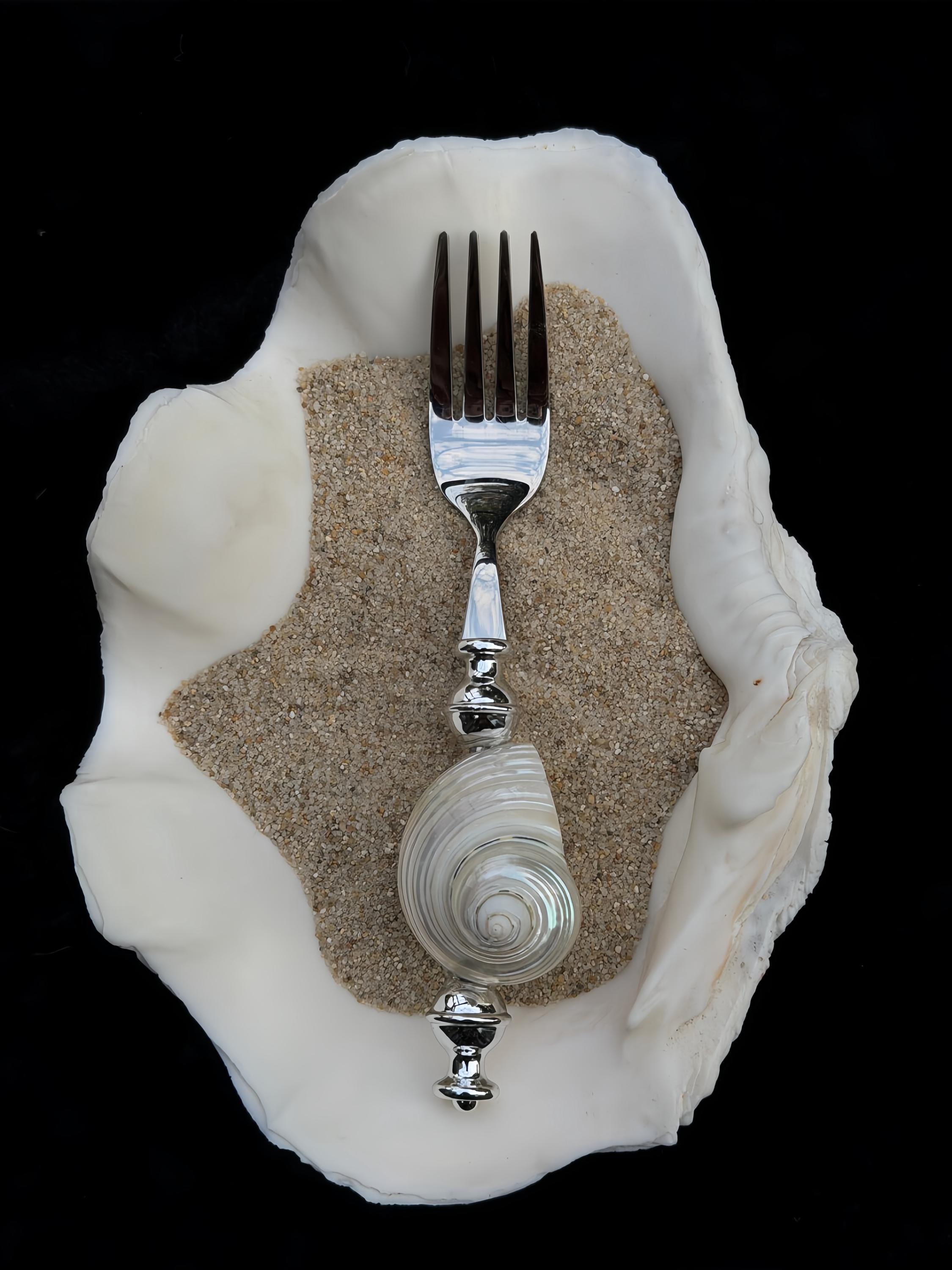 Shell Dinnerware Silver Shell Spoon and Fork Set, Nautical Coastal Dinnerware, Real ...