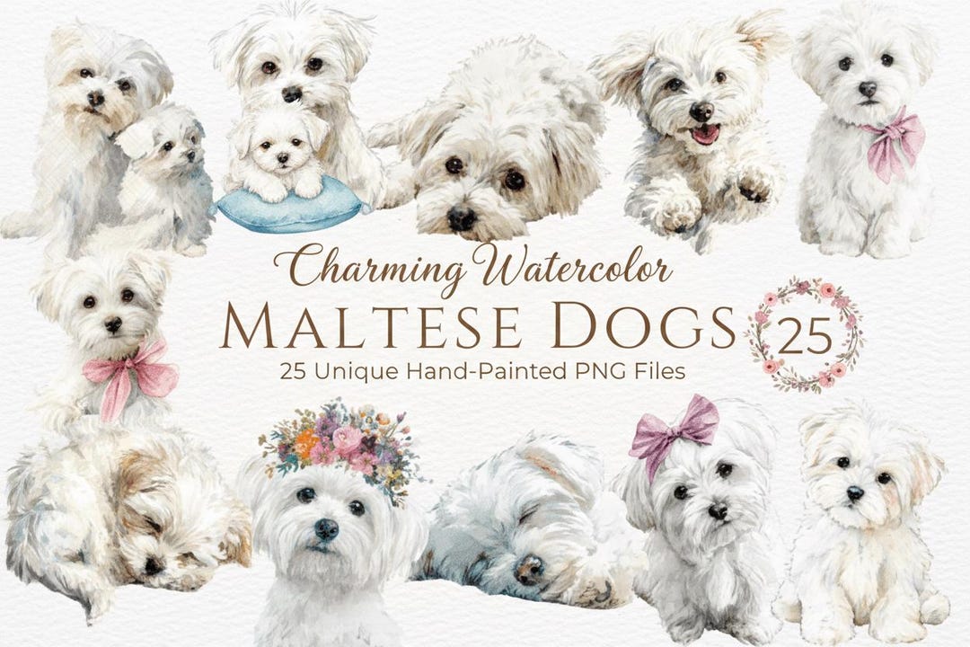 Maltese Dog Clipart Bundle 25 PNG Watercolor 4000px Transparent Pet ...