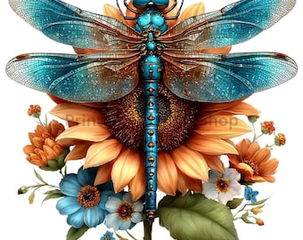 Whimsical Dragonfly Clipart Watercolor PNG Transparent 3600px Spring Nature Illustration