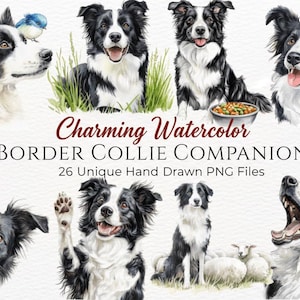 May include: A collection of watercolour illustrations featuring Border Collie dogs. The dogs are depicted in various poses, with black and white coats. The image includes text that reads "Charming Watercolor Border Collie Companions" and "26 Unique Hand Drawn PNG Files".