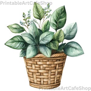 Op de afbeelding: Waterverfillustratie van een potplant met grote groene bladeren en kleinere takjes. De plant staat in een gevlochten mand met een lichtbruine kleur. De afbeelding heeft de tekst "PrintableArtCafeShop" bovenaan en onderaan.