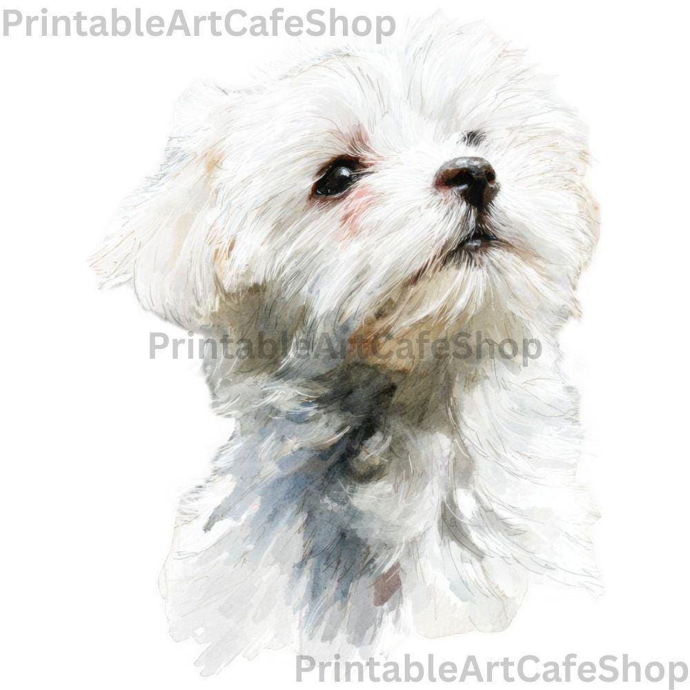 Maltese Dog Clipart Bundle 25 PNG Watercolor 4000px Transparent Pet ...