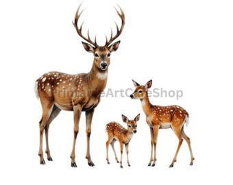 Watercolor Winter Clipart Bundle Forest Animals PNG Transparent 300DPI Commercial Digital Download