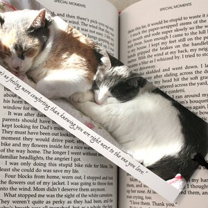 Cozy Cats Bookmark