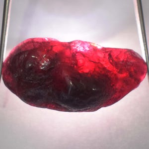 May include: A raw, uncut ruby gemstone, held by metal tweezers. The ruby is a deep, translucent red with darker areas, showcasing its natural, irregular shape. The gemstone is illuminated, highlighting its facets and internal structure.