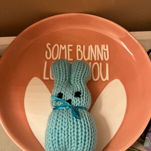 May include: A light blue knitted bunny rabbit with black eyes and a blue ribbon around its neck. The bunny is sitting on a pink plate with the text "Some bunny loves you" in white.
