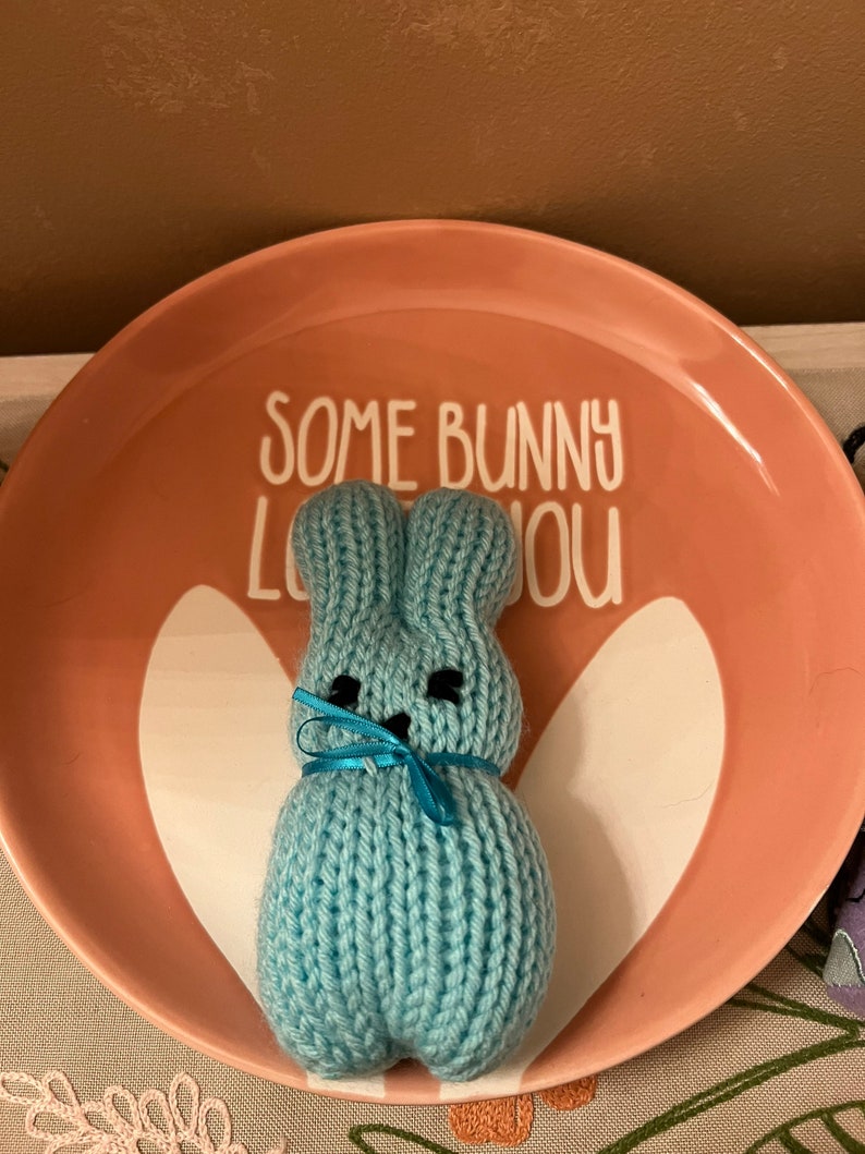 May include: A light blue knitted bunny rabbit with black eyes and a blue ribbon around its neck. The bunny is sitting on a pink plate with the text "Some bunny loves you" in white.