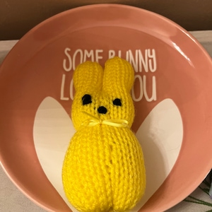 May include: A yellow knitted bunny rabbit with black eyes and a yellow bow. The bunny is sitting on a pink plate with the text "Some bunny loves you" in white.