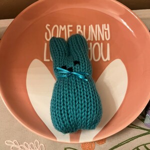 May include: A teal knitted bunny rabbit sitting on a pink plate with the text "Some bunny loves you" in white.