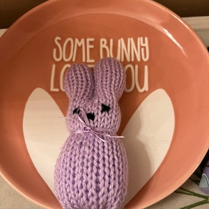 May include: A purple knitted bunny rabbit on a pink plate with the text "Some bunny loves you".