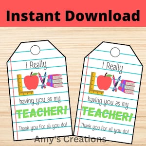 Printable Teacher Thank You Gift Tags, Teacher Appreciation Tags, Thank You Gift Tag, Instant Download, PTO Gift Tags