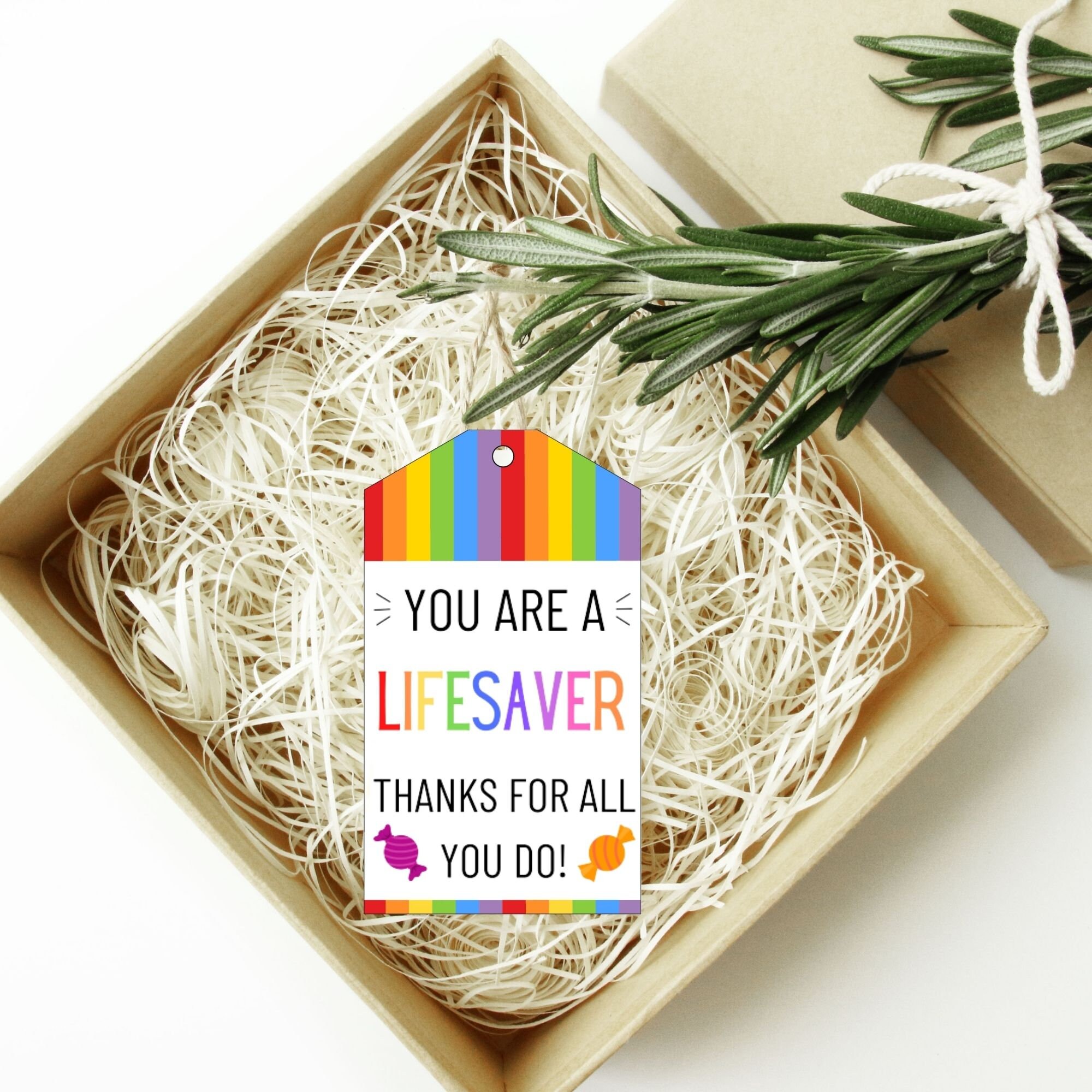 Printable Lifesaver Favor Tags Teacher Appreciation Tags | Etsy