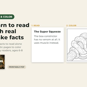 Könnte beinhalten: Ein druckbares PDF-Lernblatt mit dem Titel Learn to read with real snake facts. Es enthält einen Textabschnitt mit dem Titel The Super Squeeze über Boas sowie eine schwarz-weiße Strichzeichnung einer Schlange, die sich um einen Ast gewickelt hat.