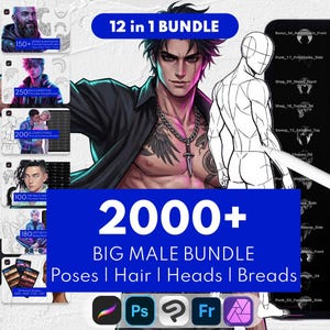 2000 Male Anime Stamp Bundle, Poses, Hair, Heads, Face, Manga Brushes: Procreate, Clip Studio Paint, Photoshop, Affinity Photo, Adobe Fresco