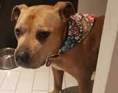 Dog Bandana - Over Collar - Kapow - Free Worldwide Shipping - Profits to Dog Rescue