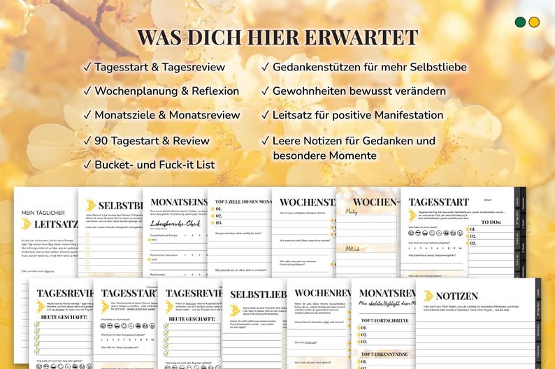 Pu&ograve; includere: Un pianificatore con varie pagine per la definizione di obiettivi giornalieri, settimanali e mensili, la riflessione e le revisioni. Le pagine includono sezioni per gli inizi giornalieri, le revisioni e le note. Il testo sulla copertina dice "Cosa ti aspetta qui".