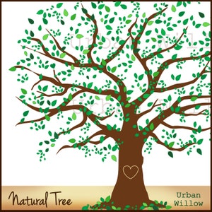 Árbol genealógico, clip art de árbol natural de 12 pulgadas, árbol frondoso grande, olmo, gráfico de árbol de roble, ilustración de árbol genealógico