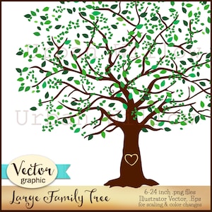 Imágenes prediseñadas VECTORIAL y .png. Árbol genealógico grande, uso comercial, invitaciones de boda, proyectos de árboles genealógicos, diseños de impresión a gran escala y más.