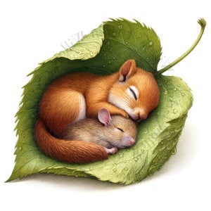10 clipart de animais fofos da floresta dormindo. Imagens JPEG de alta definição. Uso comercial. Impressões, artesanato, arte de parede de berçário, canecas e muito mais!