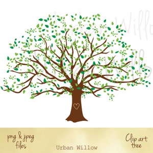 Große Stammbaum Grafik, Stammbaum Bild, Clipart Natur suchen Baum, grünen grünen Baum, immergrüner Baum, Hochzeit Einladung Baum, Eiche