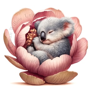 Australische Ureinwohner Tiere Clipart, Koala, Känguru Joey, Echidna, Wombat, Possum, hochwertige JPGs, digitaler Download, Kinderzimmer Kunst