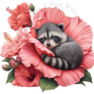 12 clipart de animais fofos dormindo. Flores de hibisco. Imagens JPEG de alta qualidade. Crie gravuras, artesanato, diários inúteis e arte na parede do berçário.