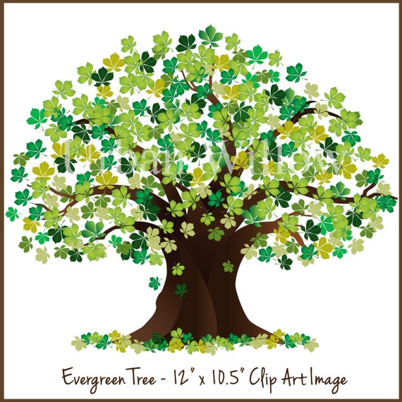 evergreen clipart tree tree graphic green tree oak tree etsy family tree clip art