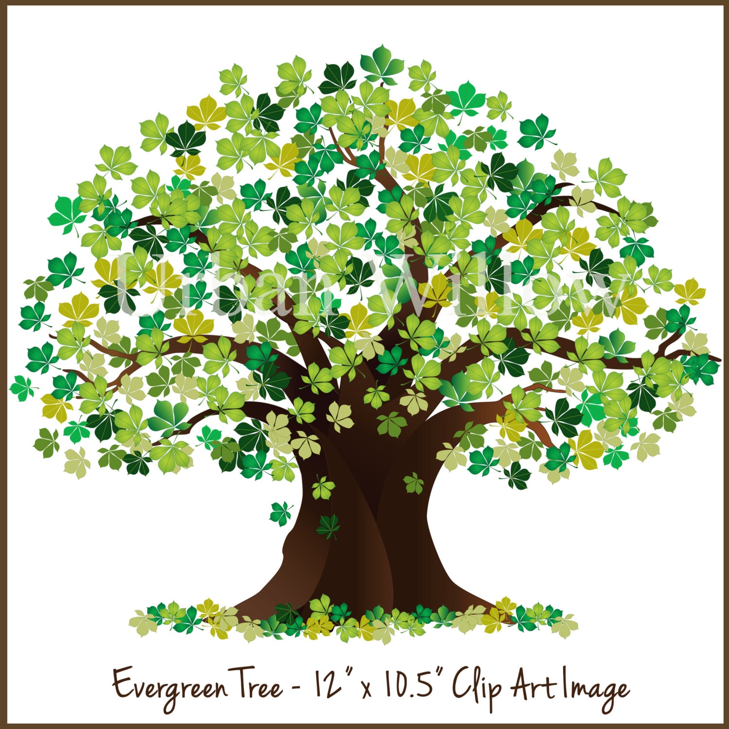 family tree clipart images