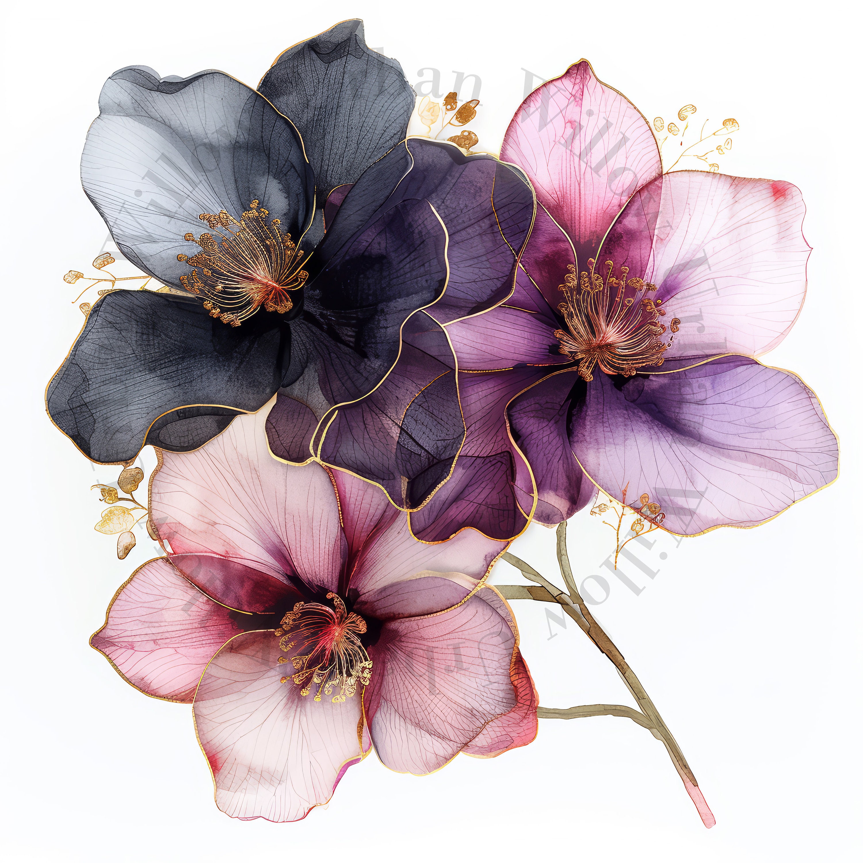 Buy Pressed Orchid Art Online In India - Etsy India, image size:3000x3000