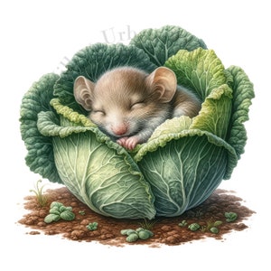 11 schattige dieren slapen in koolbladeren Clipart. High-definition JPEG-afbeeldingen. Commercieel gebruik. Prenten, knutselwerkjes, kunst aan de muur voor de kinderkamer, mokken.
