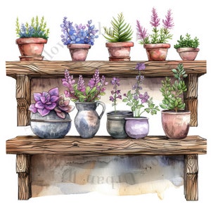 May include: A wooden shelf with two tiers holds a variety of potted plants. The plants include succulents, ferns, and flowering plants in various shades of purple, blue, and green. The shelf is painted a light brown color and has a rustic, farmhouse style.