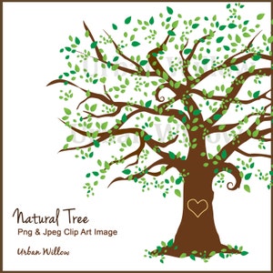 Imágenes prediseñadas del árbol genealógico, árbol hermoso de la imágenes prediseñadas, árbol del olmo de la prediseñala, clíparta del árbol de arce, árbol genealógico del libro de la chatarra digital, árbol verde del roble