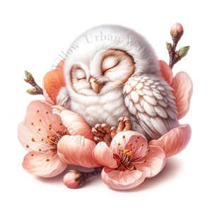 10 cliparts mignons d'oiseaux, oisillons, oiseau bleu, colombe, hibou dormant dans des fleurs de pêcher. Fichiers JPG de haute qualité, téléchargement numérique. Utilisation commerciale.